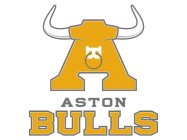 ASTON BULLS AB