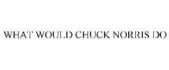 WHAT WOULD CHUCK NORRIS DO