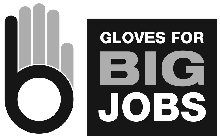 GLOVES FOR BIG JOBS