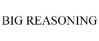 BIG REASONING