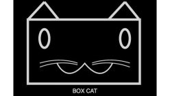 BOX CAT