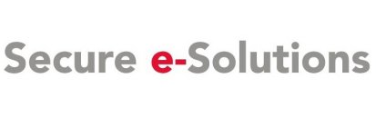 SECURE E-SOLUTIONS