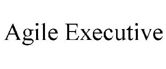 AGILE EXECUTIVE