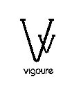 VV VIGOURE