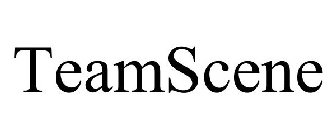 TEAMSCENE