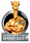 WHAT DAY IS IT? PUMP DAY!