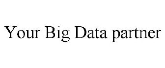 YOUR BIG DATA PARTNER