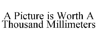 A PICTURE IS WORTH A THOUSAND MILLIMETERS