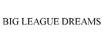BIG LEAGUE DREAMS