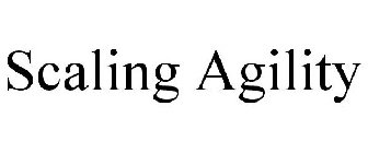SCALING AGILITY