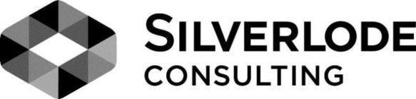 SILVERLODE CONSULTING