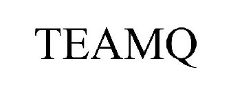 TEAMQ