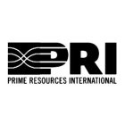 PRI PRIME RESOURCES INTERNATIONAL