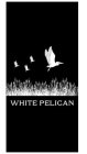 WHITE PELICAN