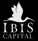 IBIS CAPITAL