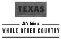 TEXAS IT'S LIKE A WHOLE OTHER COUNTRY