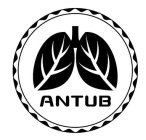 ANTUB