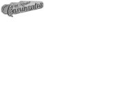 PARA SIEMPRE CAMINANTES