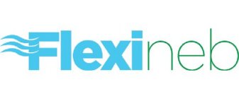 FLEXINEB