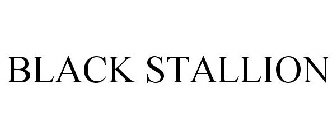BLACK STALLION