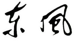 Image Trademark