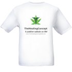 THE HEALING CONCEPT A POSITIVE FOCUS LEADS TO A POSITIVE YOU WWW.THEHEALINGCONCEPT928.COM