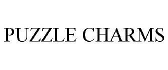 PUZZLE CHARMS