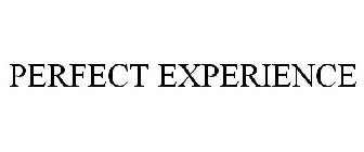 PERFECT EXPERIENCE