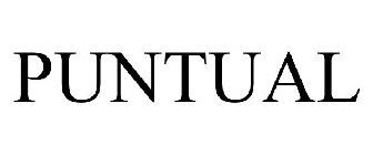 PUNTUAL