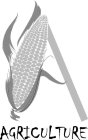 AGRICULTURE