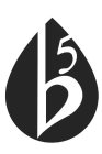 B5