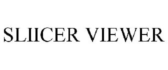 SLIICER VIEWER