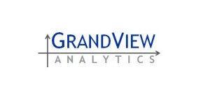 GRANDVIEW ANALYTICS