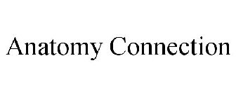 ANATOMY CONNECTION