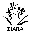 ZIARA