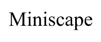 MINISCAPE