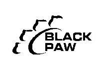 BLACK PAW