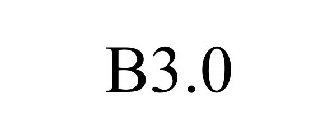 B3.0