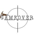 TEAM GAME OVER