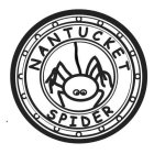 NANTUCKET SPIDER