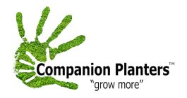 COMPANION PLANTERS 