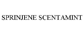 SPRINJENE SCENTAMINT