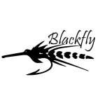 BLACKFLY