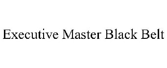 EXECUTIVE MASTER BLACK BELT