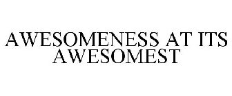 AWESOMENESS AT ITS AWESOMEST