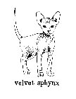 VELVET SPHYNX
