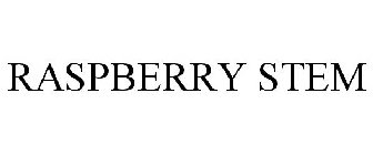 RASPBERRYSTEM
