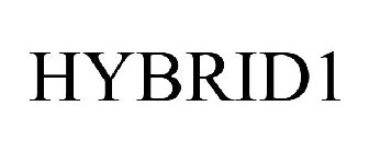 HYBRID1