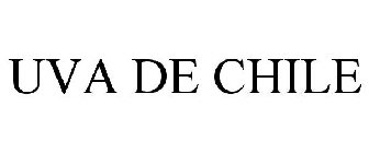 UVA DE CHILE