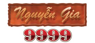 NGUYÊN GIA 9999